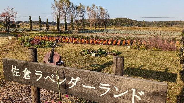 f:id:uminotabi7:20251114190634j:image f:id:uminotabi7:20251114190634j:image