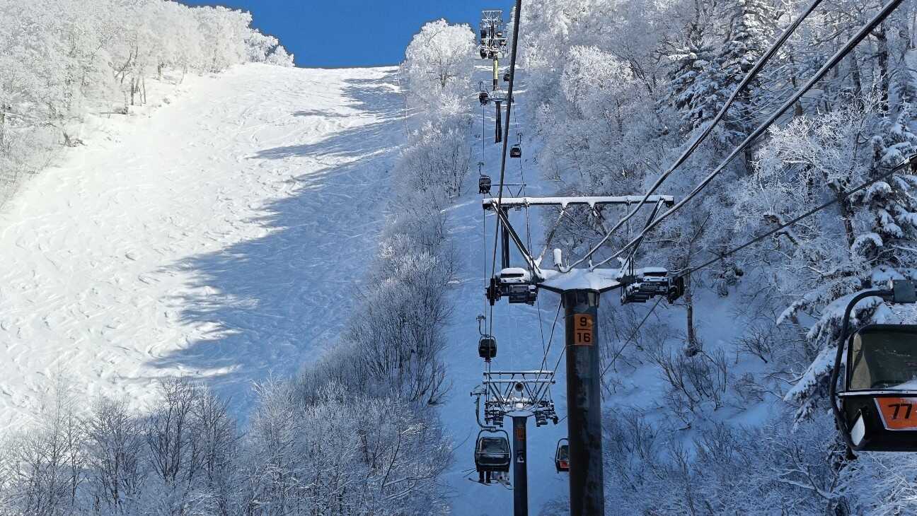 f:id:uminotabi7:20251225130943j:image f:id:uminotabi7:20251225130943j:image