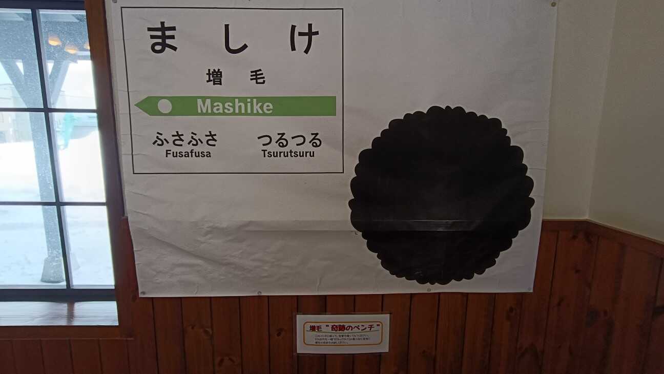 f:id:uminotabi7:20260215161259j:image