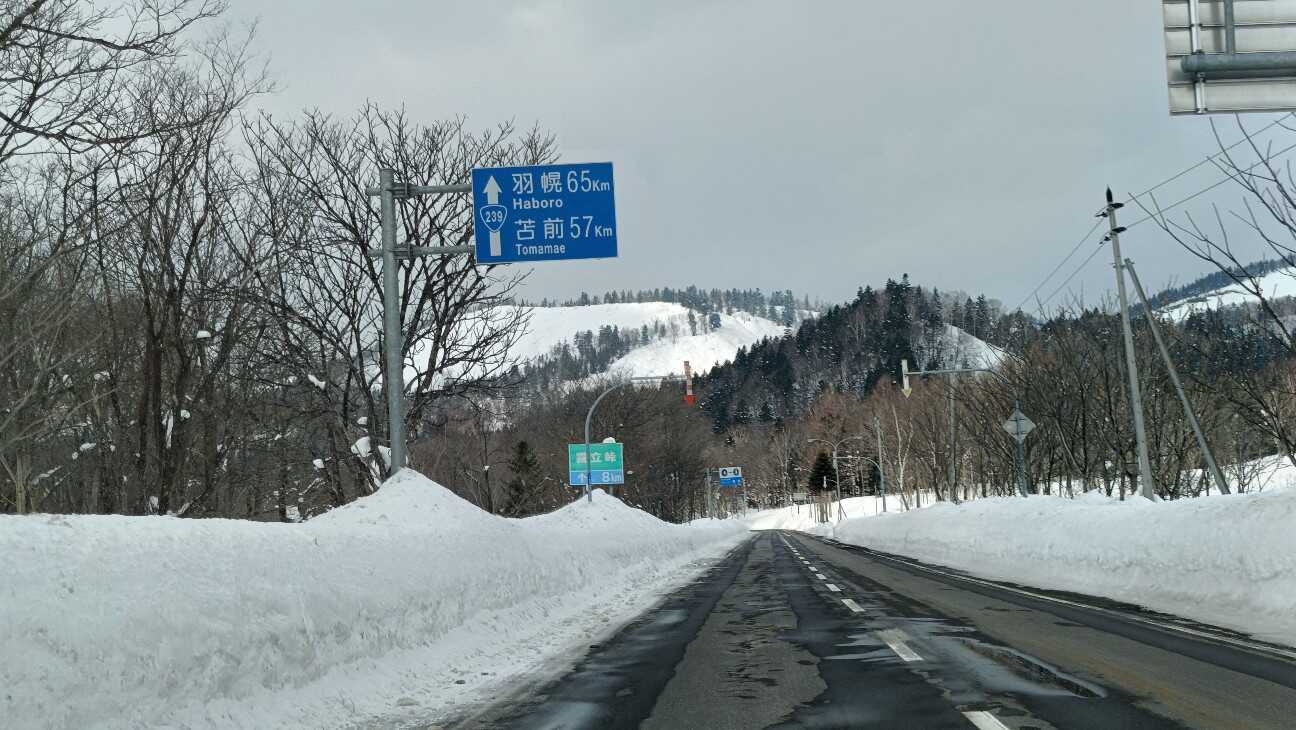 f:id:uminotabi7:20260221185600j:image