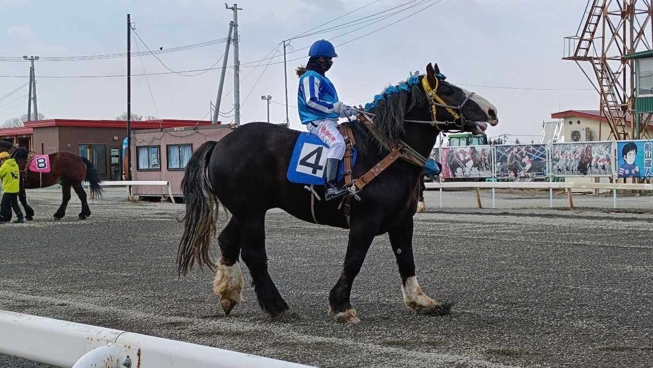 f:id:uminotabi7:20260323075258j:image