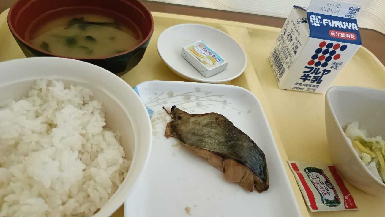 f:id:uminotabi7:20260422125847j:image f:id:uminotabi7:20260422125847j:image