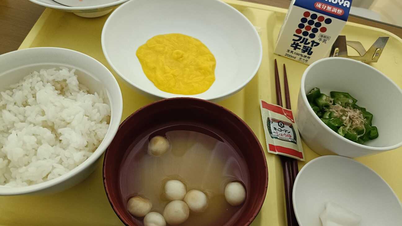 f:id:uminotabi7:20260423090745j:image f:id:uminotabi7:20260423090745j:image