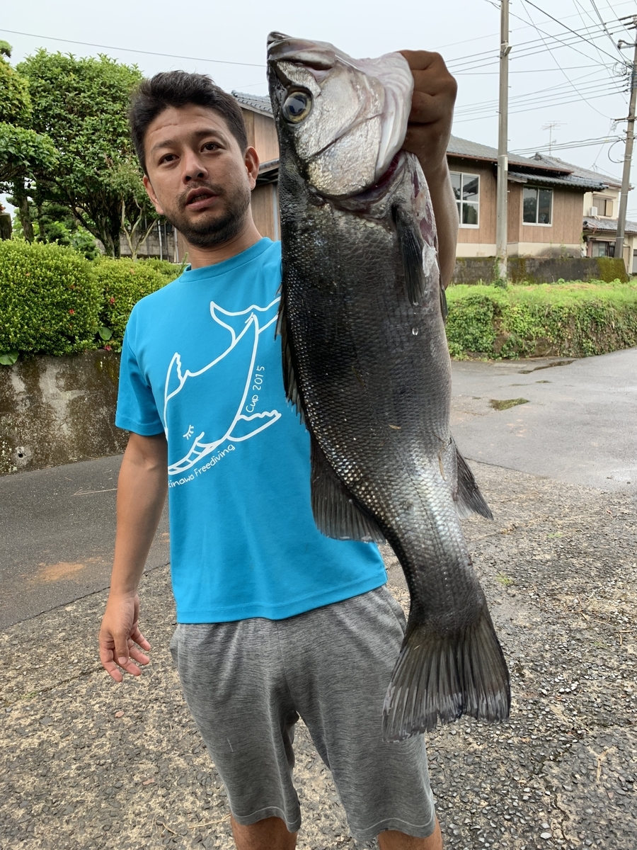 魚突きで美味しい魚を紹介！ - フリーダイバー菊本