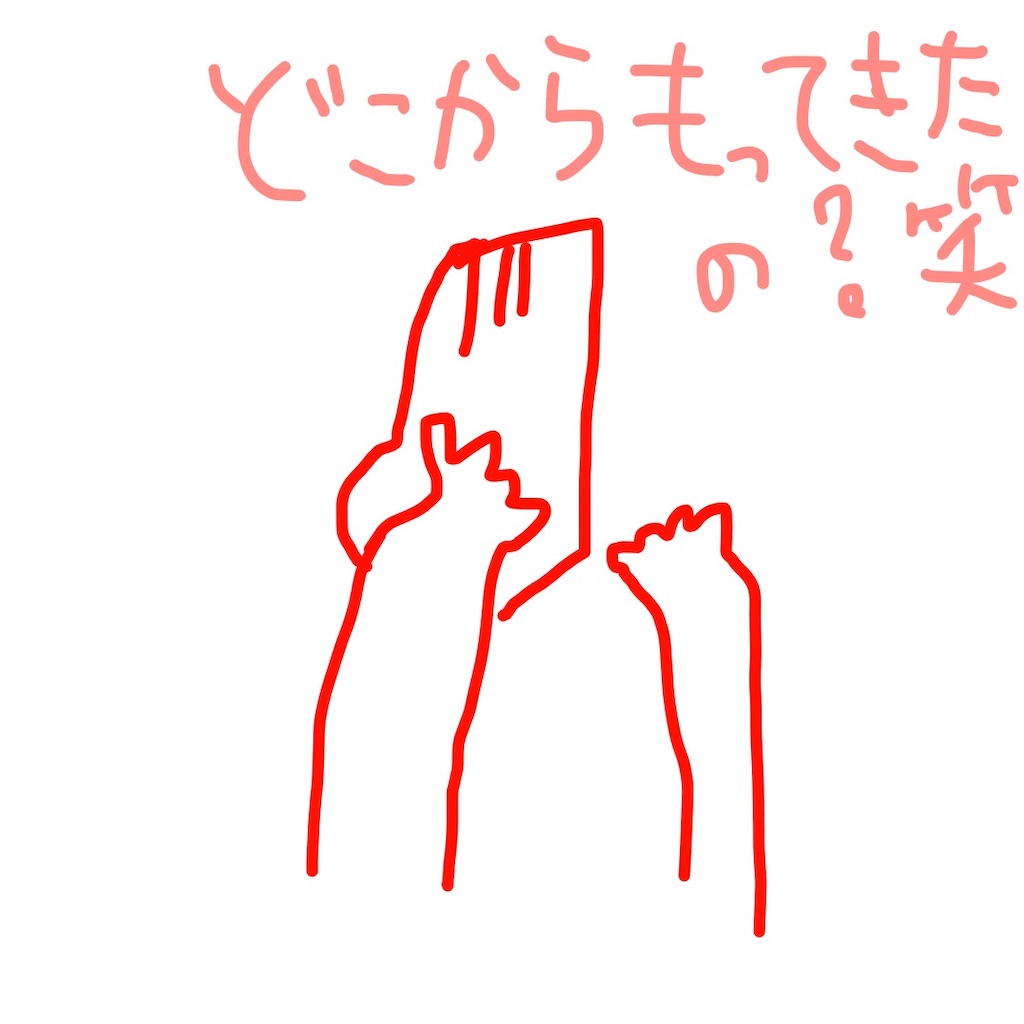 f:id:umitokaze0912:20190214013814j:image