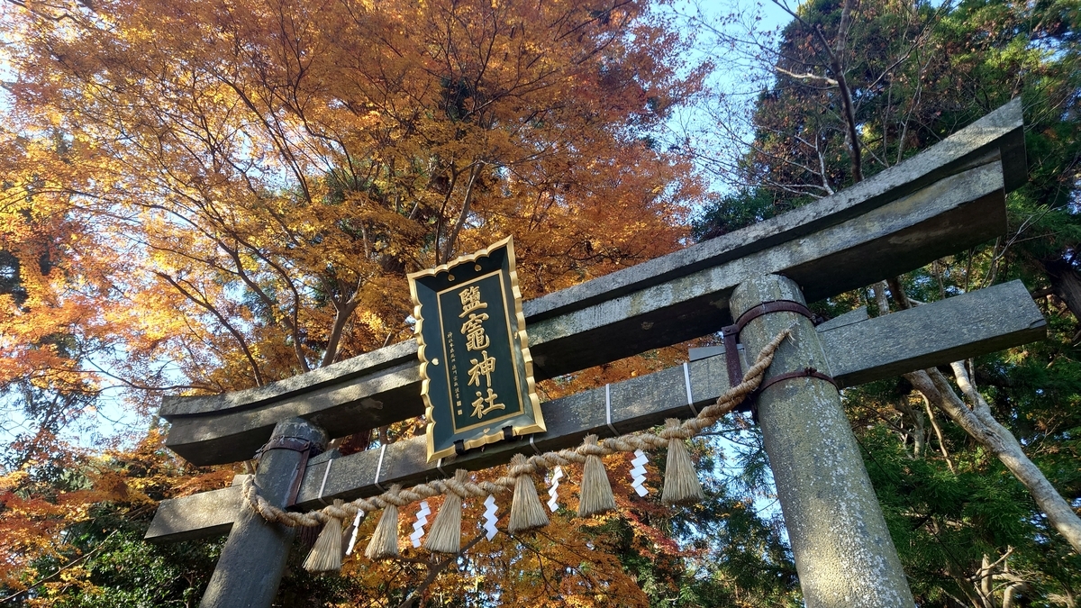 鹽竈神社と狛犬たち、ヒイラギと四季桜 - 海月美紗のおでかけ日和