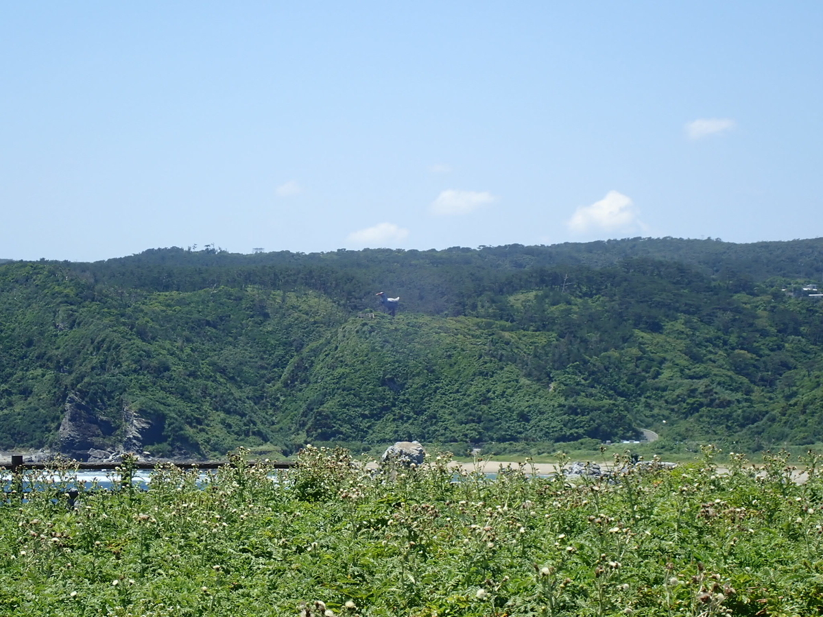 f:id:umiuminikki:20190525003441j:plain