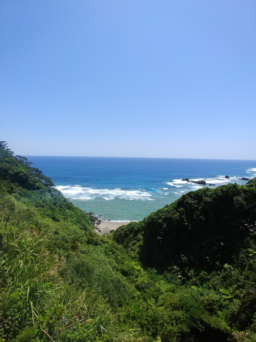 f:id:umiuminikki:20190525004112j:plain