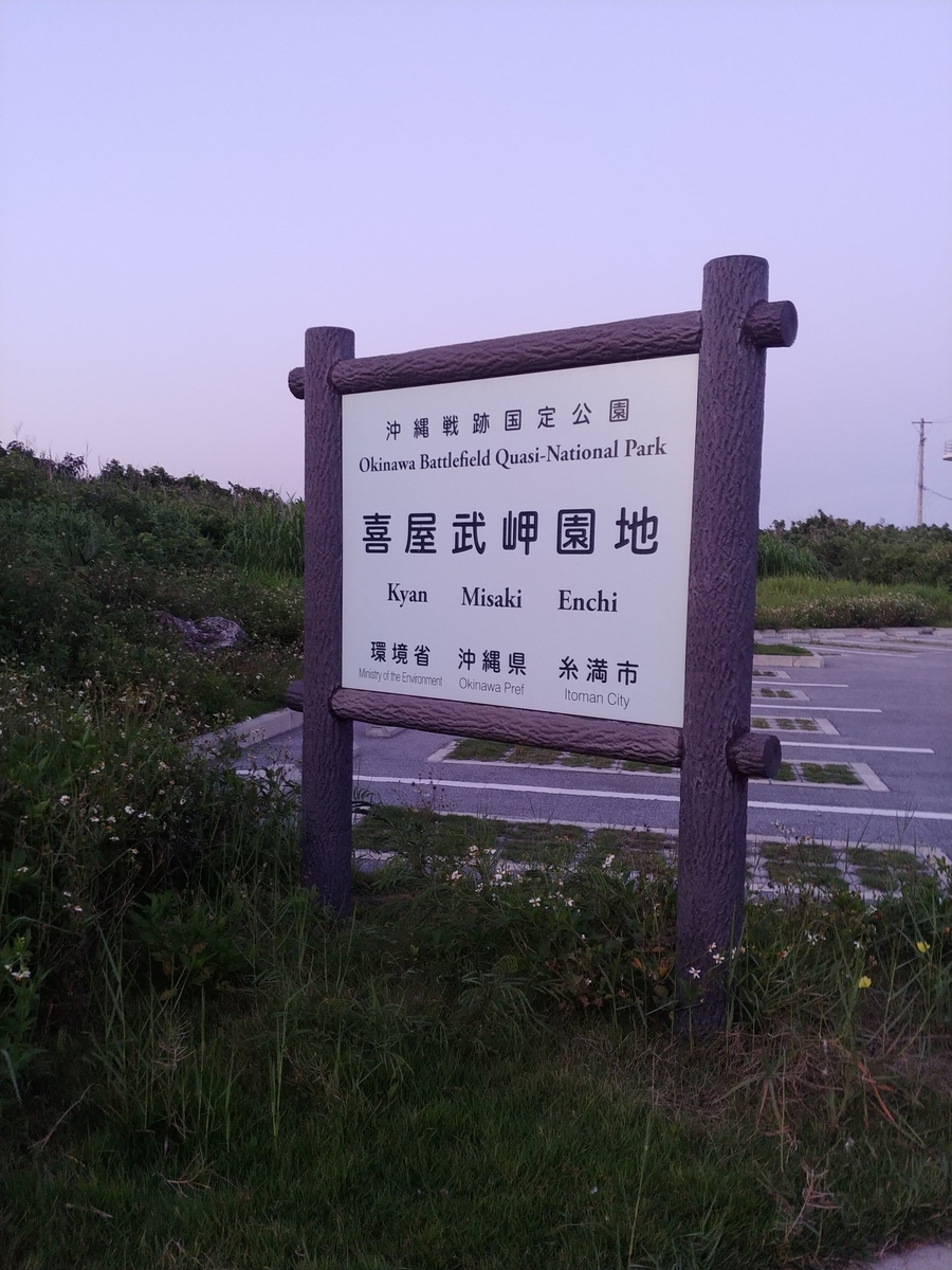 f:id:umiuminikki:20190525005943j:plain