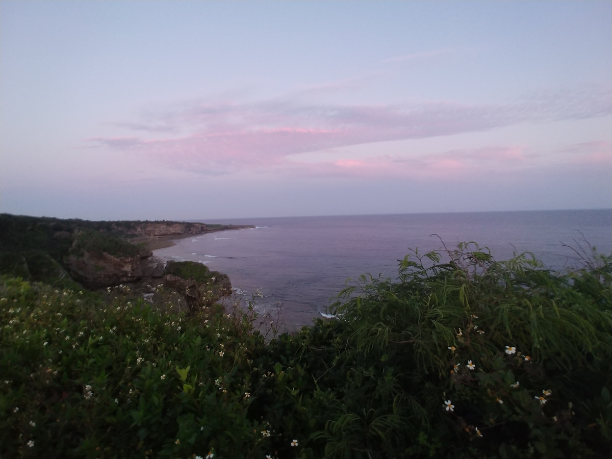 f:id:umiuminikki:20190525010016j:plain