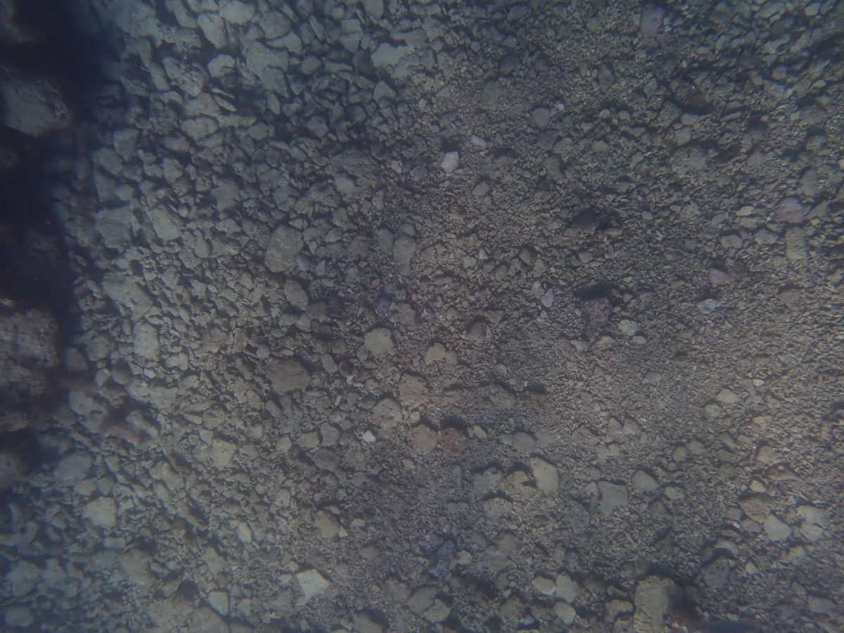 f:id:umiuminikki:20190530160538j:plain