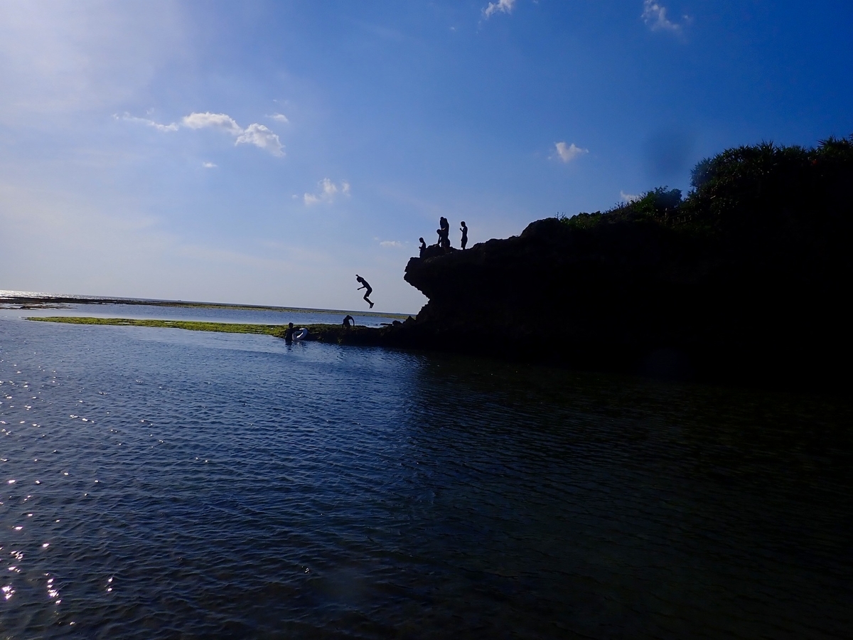 f:id:umiuminikki:20190530162805j:plain