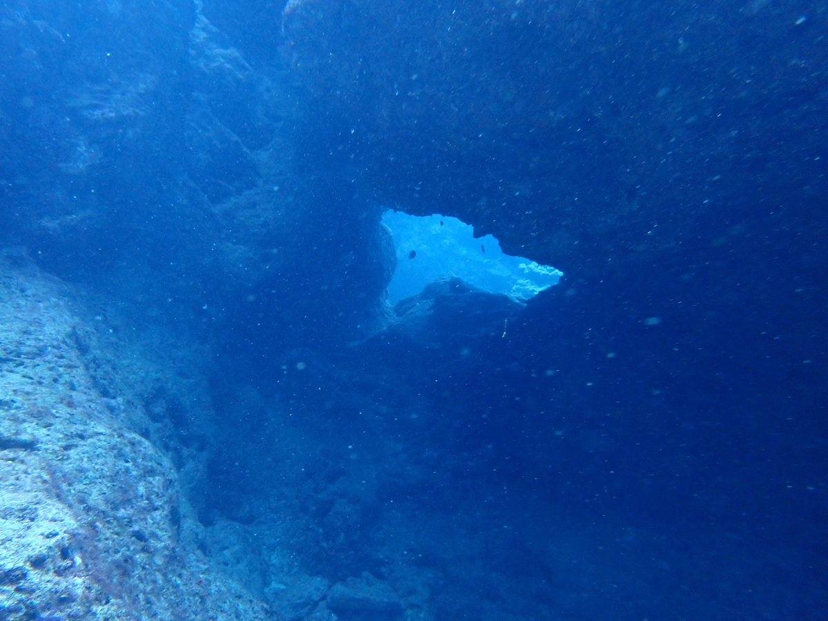 f:id:umiuminikki:20190620174958j:plain