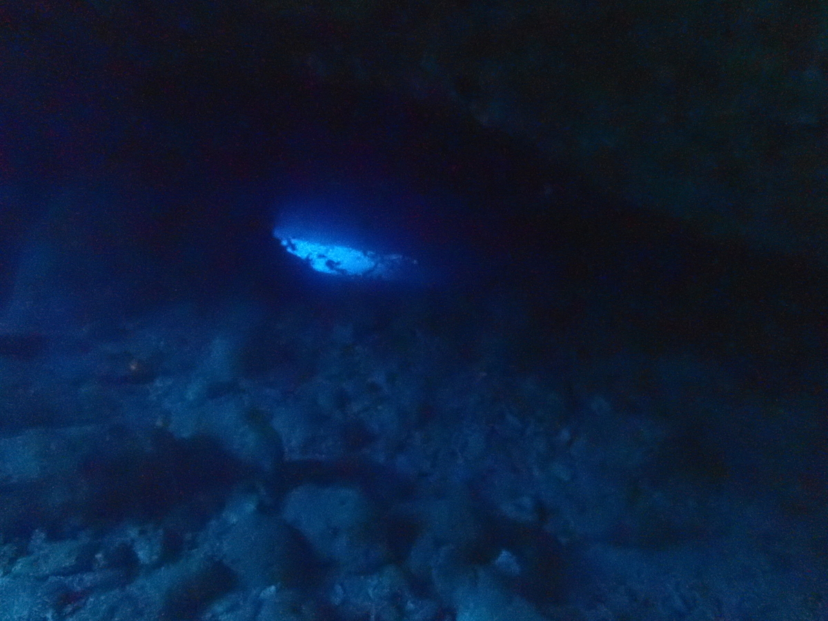 f:id:umiuminikki:20190629002035j:plain