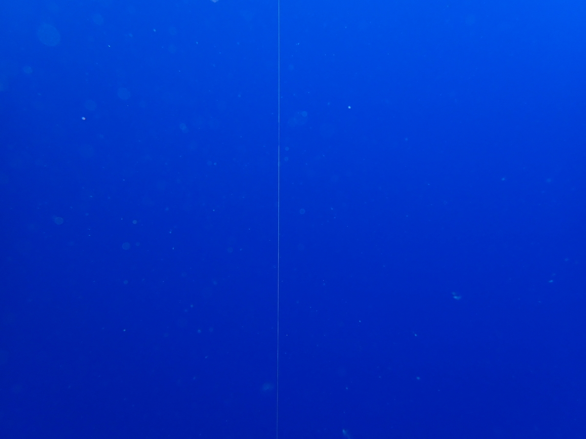 f:id:umiuminikki:20190731155737j:plain