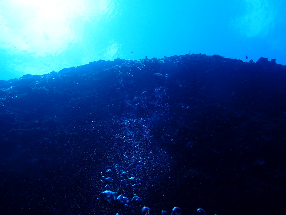 f:id:umiuminikki:20190731160044j:plain