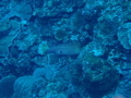 20190801000416