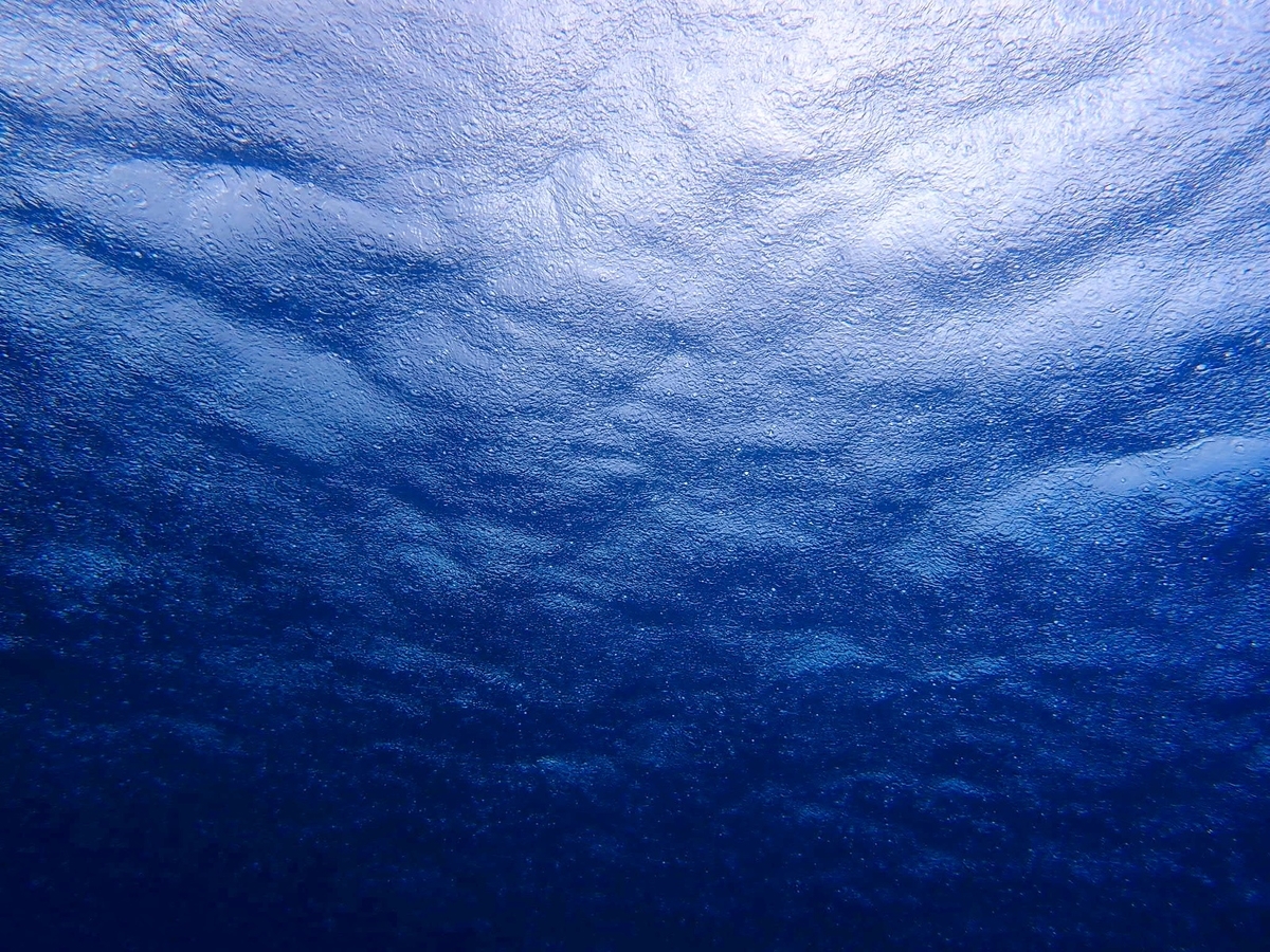 f:id:umiuminikki:20190904232554j:plain f:id:umiuminikki:20190904232554j:plain