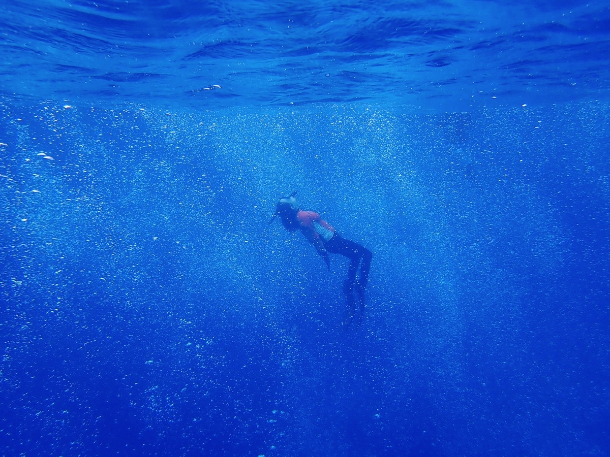 f:id:umiuminikki:20190904232705j:plain f:id:umiuminikki:20190904232705j:plain