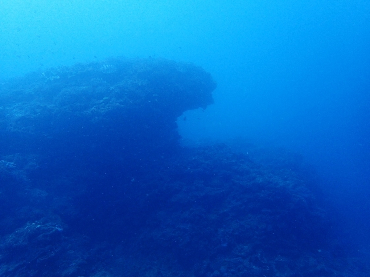 f:id:umiuminikki:20190926000431j:plain