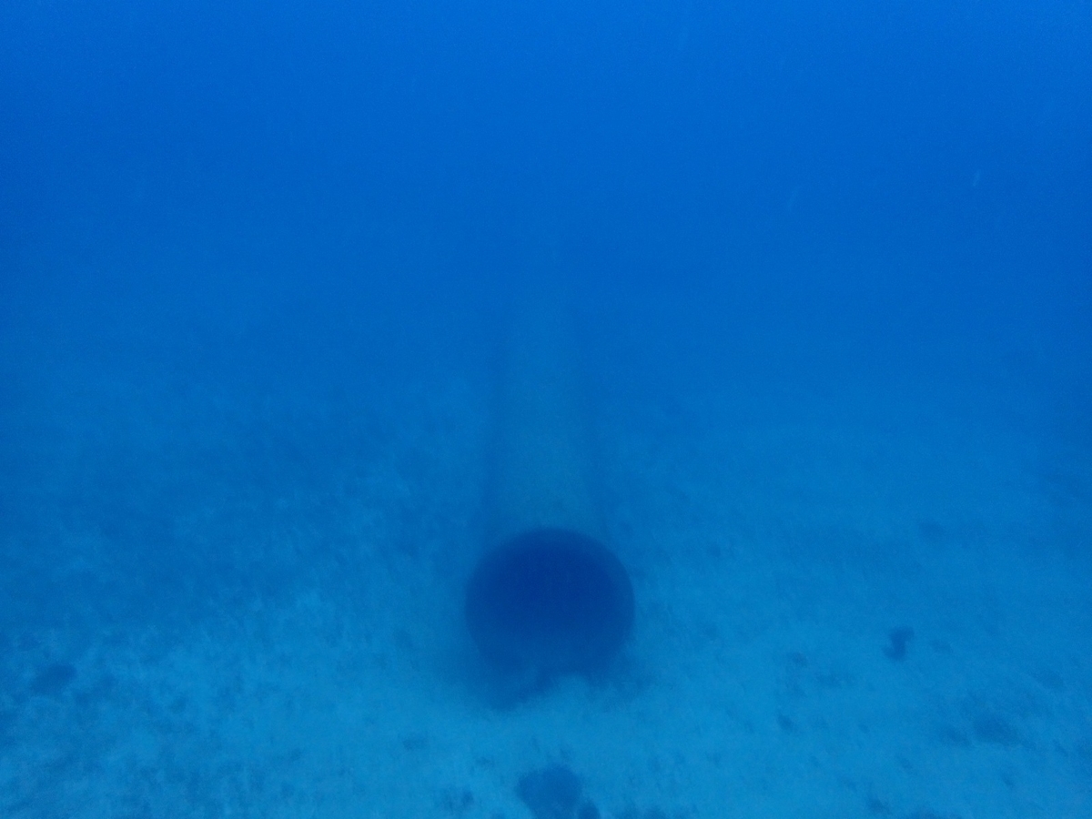 f:id:umiuminikki:20190926000512j:plain