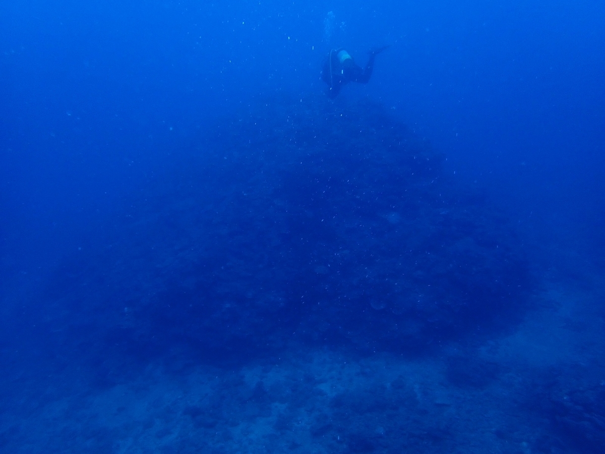 f:id:umiuminikki:20190926000839j:plain