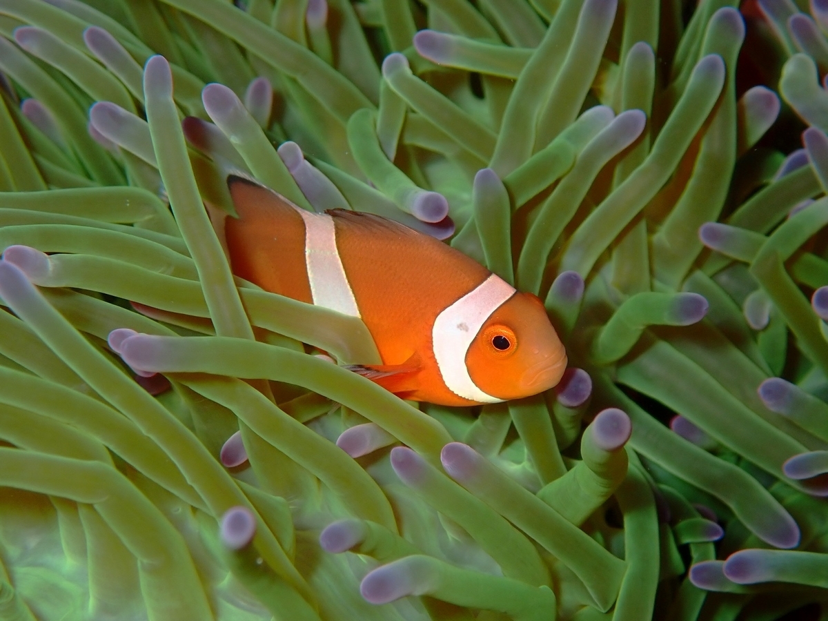 f:id:umiuminikki:20190926001004j:plain