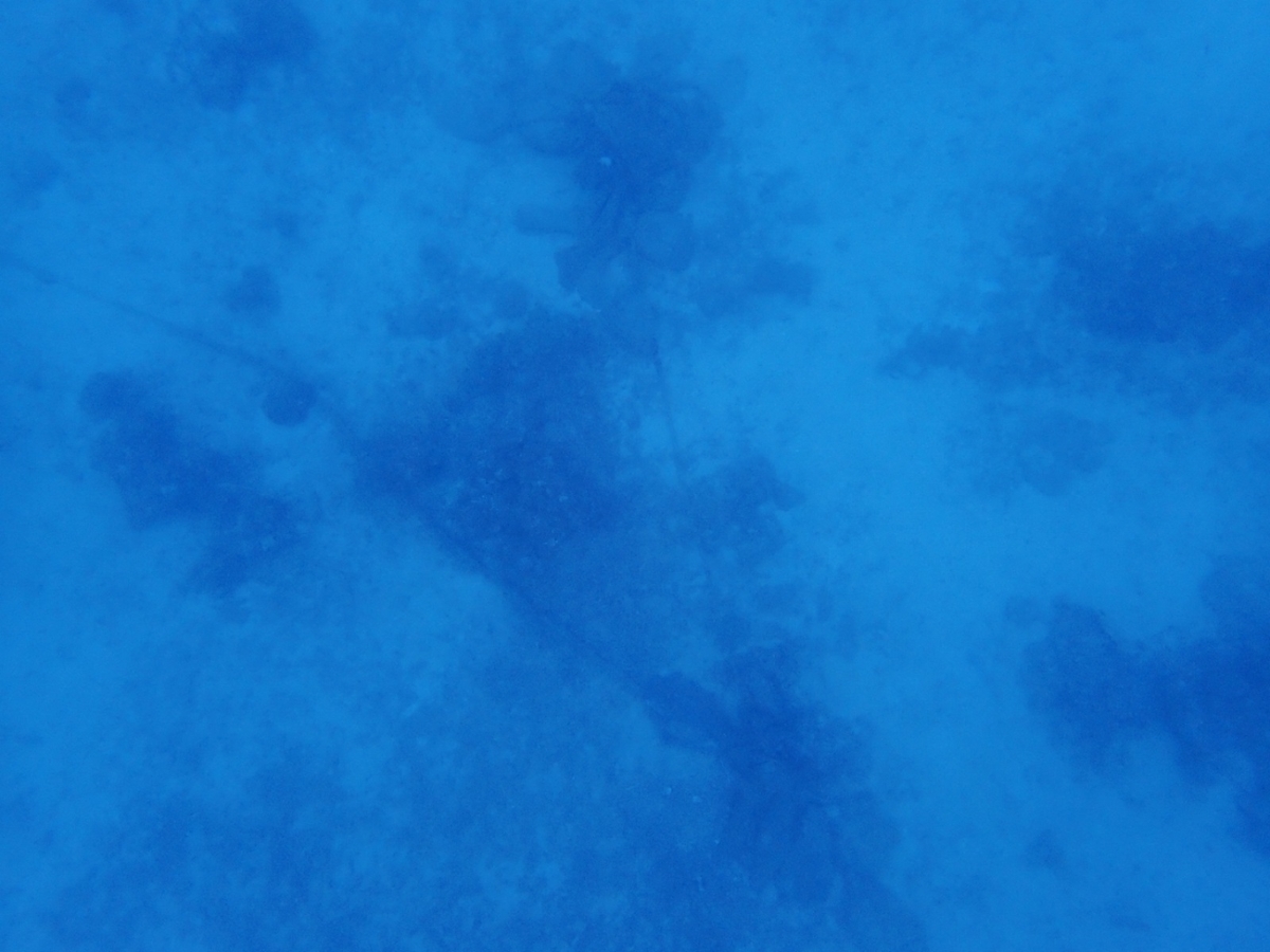 f:id:umiuminikki:20191027012335j:plain