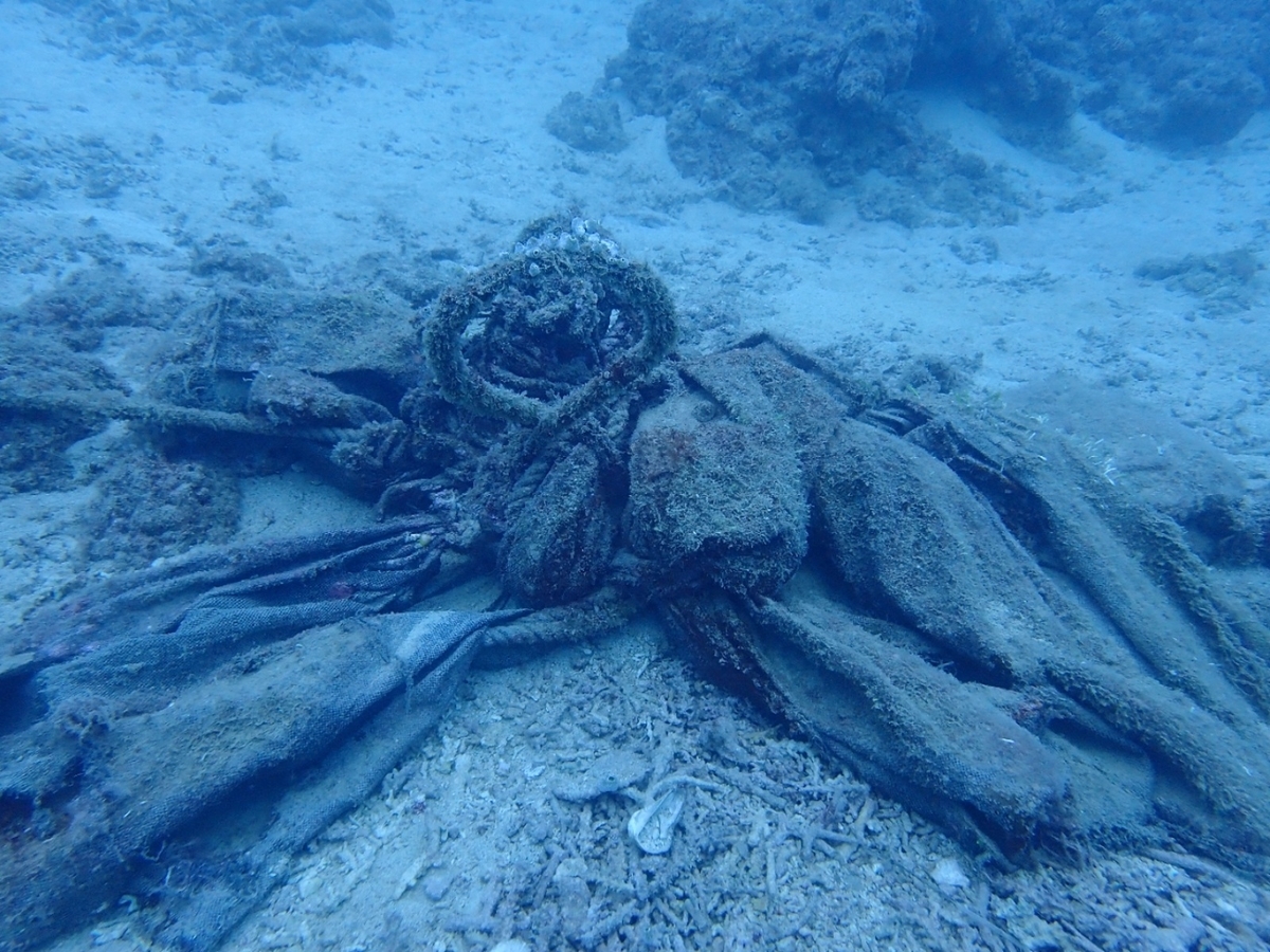 f:id:umiuminikki:20191027012404j:plain