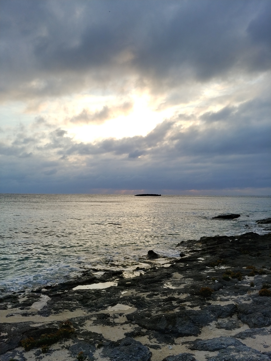f:id:umiuminikki:20191031013447j:plain f:id:umiuminikki:20191031013447j:plain