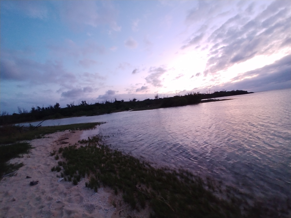 f:id:umiuminikki:20191031014916j:plain f:id:umiuminikki:20191031014916j:plain