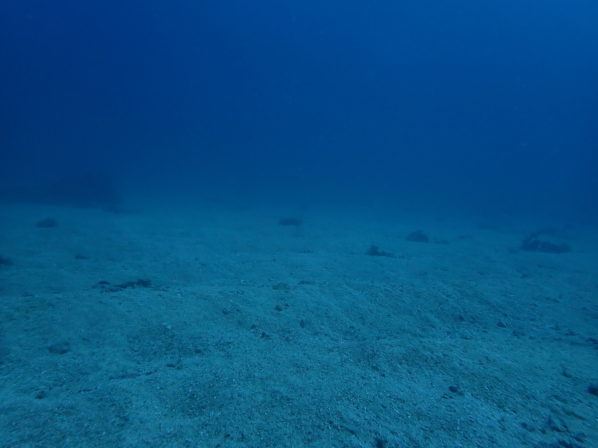 f:id:umiuminikki:20191116230028j:plain