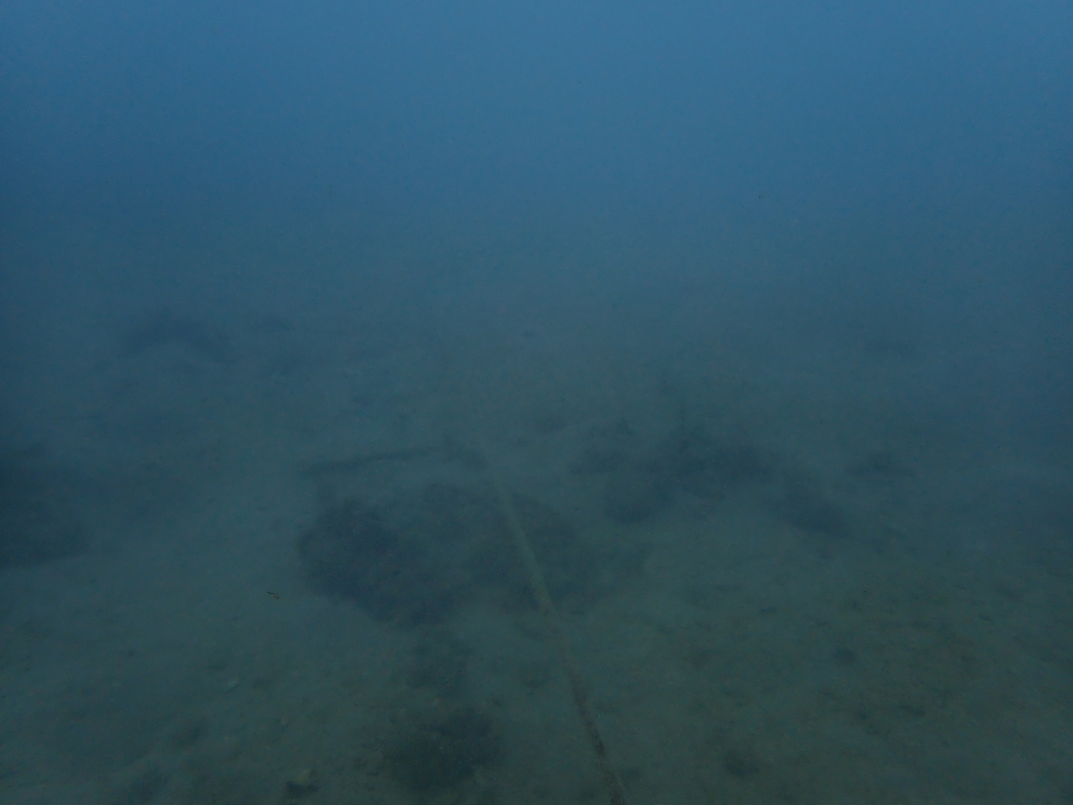 f:id:umiuminikki:20191221215629j:plain