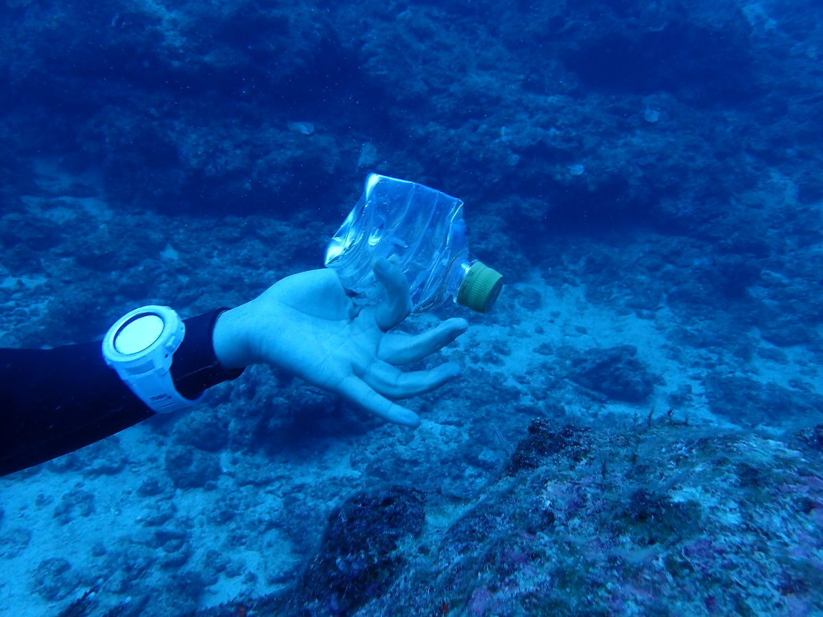 f:id:umiuminikki:20191221230853j:plain