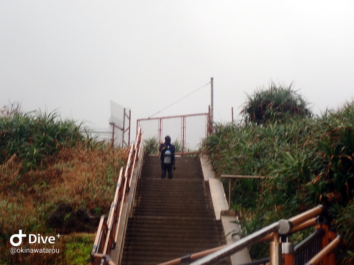 f:id:umiuminikki:20191221231206j:plain