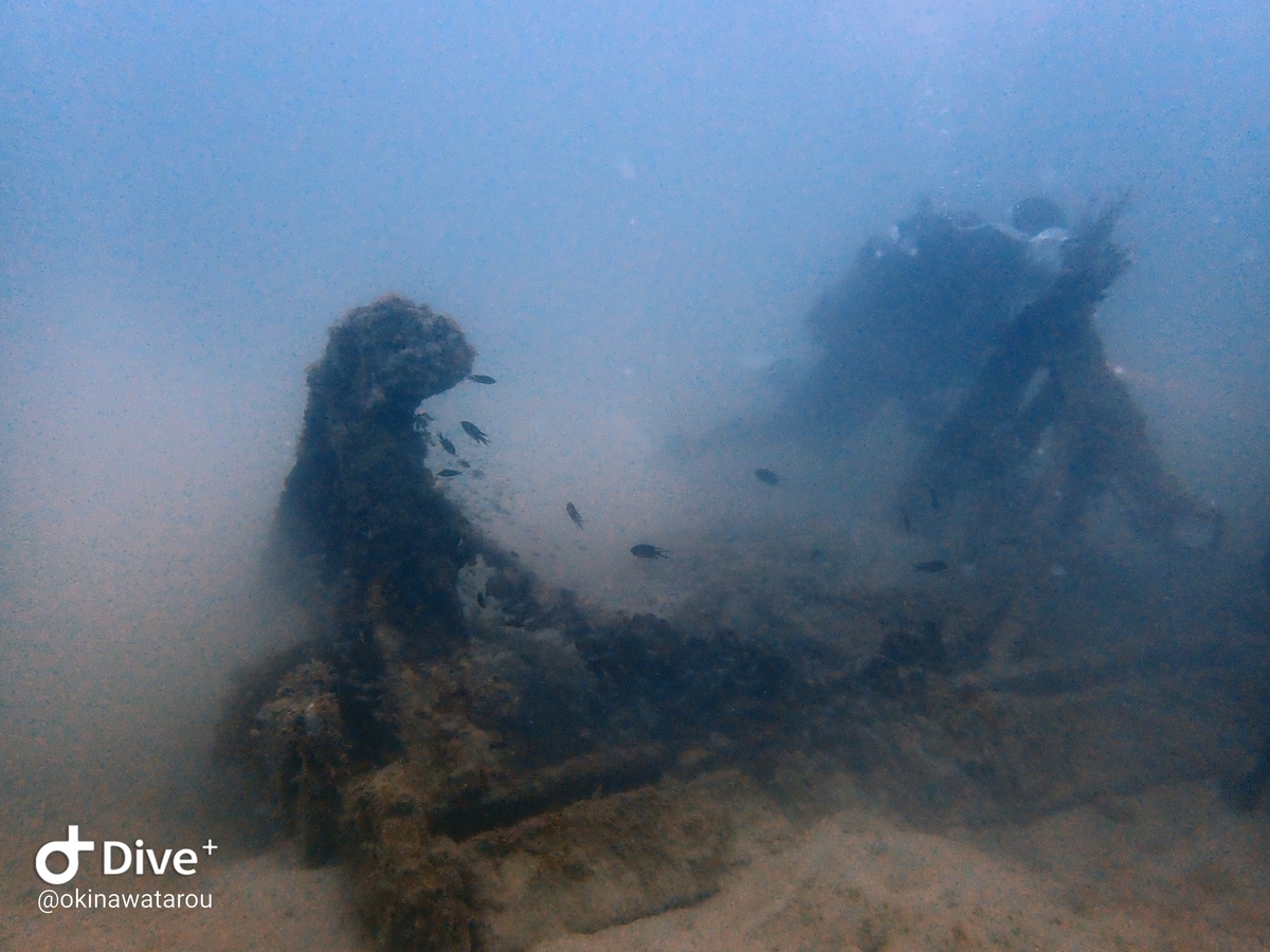 f:id:umiuminikki:20191223223242j:plain f:id:umiuminikki:20191223223242j:plain