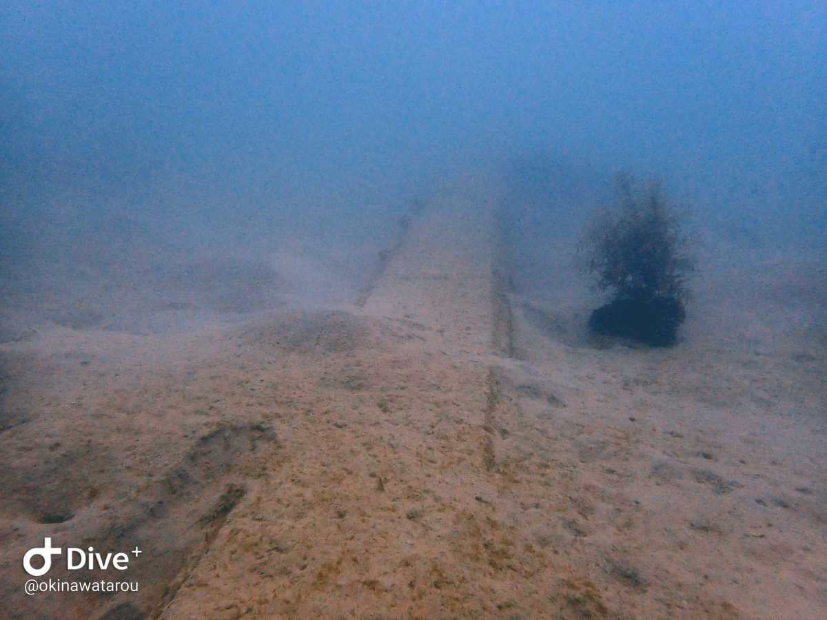 f:id:umiuminikki:20191223223258j:plain f:id:umiuminikki:20191223223258j:plain