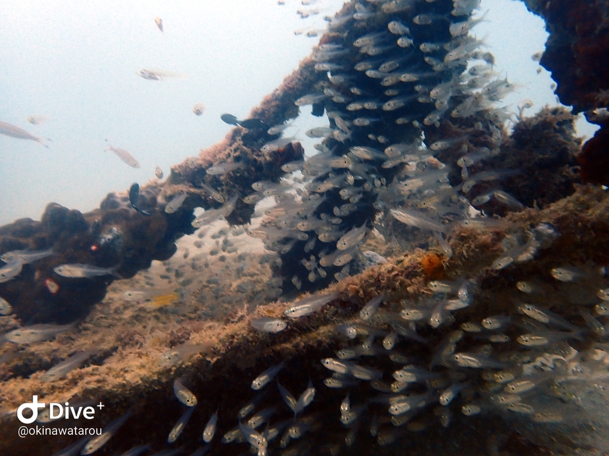 f:id:umiuminikki:20191223223306j:plain f:id:umiuminikki:20191223223306j:plain