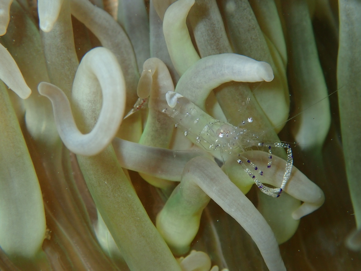 f:id:umiuminikki:20191223223425j:plain f:id:umiuminikki:20191223223425j:plain