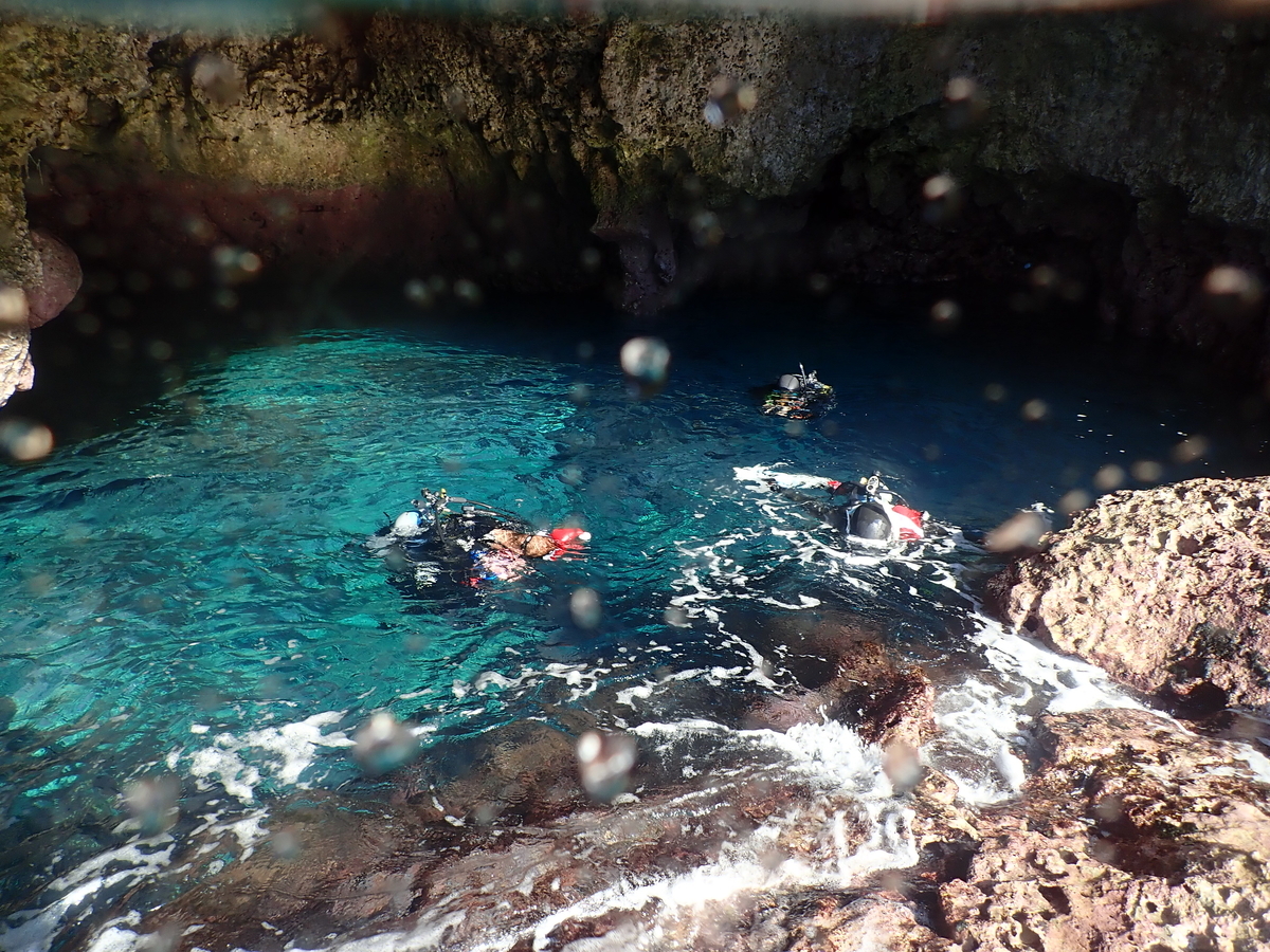 f:id:umiuminikki:20200103144902j:plain