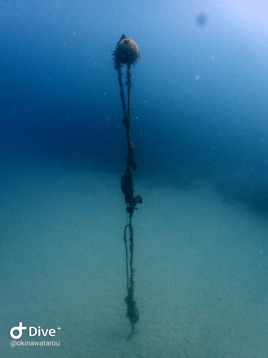 f:id:umiuminikki:20200117192721j:plain f:id:umiuminikki:20200117192721j:plain