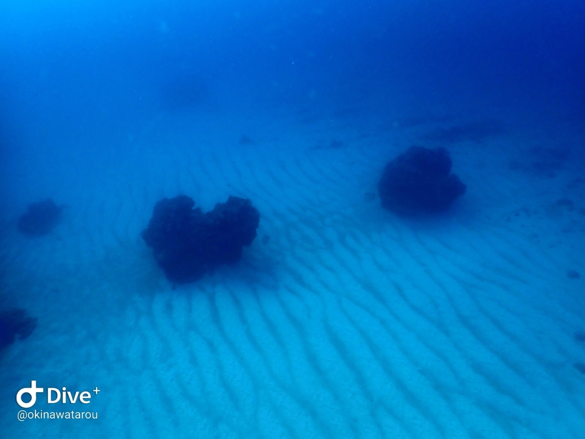 f:id:umiuminikki:20200117214537j:plain