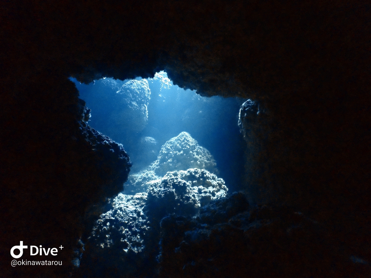 f:id:umiuminikki:20200117214943j:plain