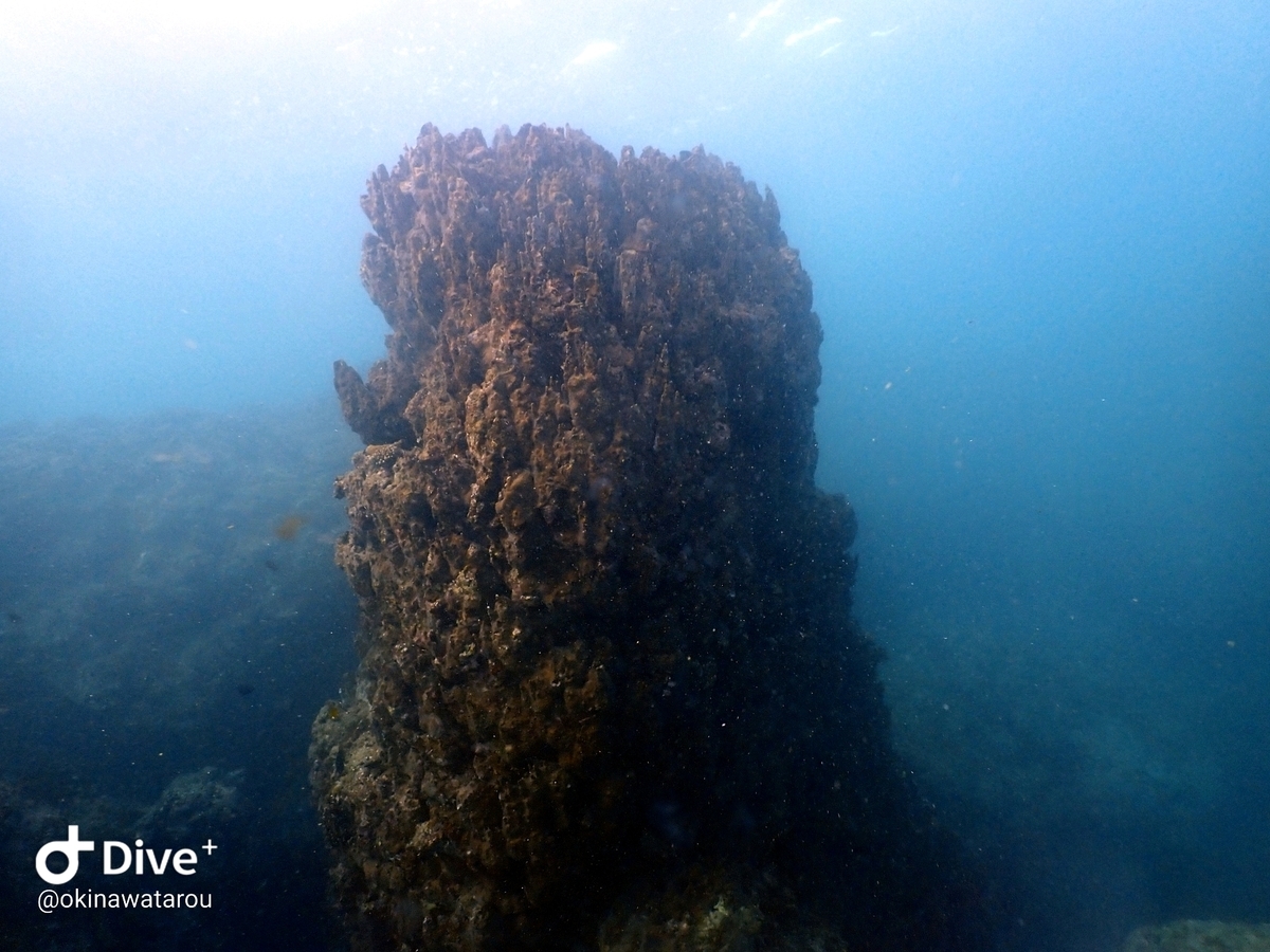 f:id:umiuminikki:20200117220704j:plain