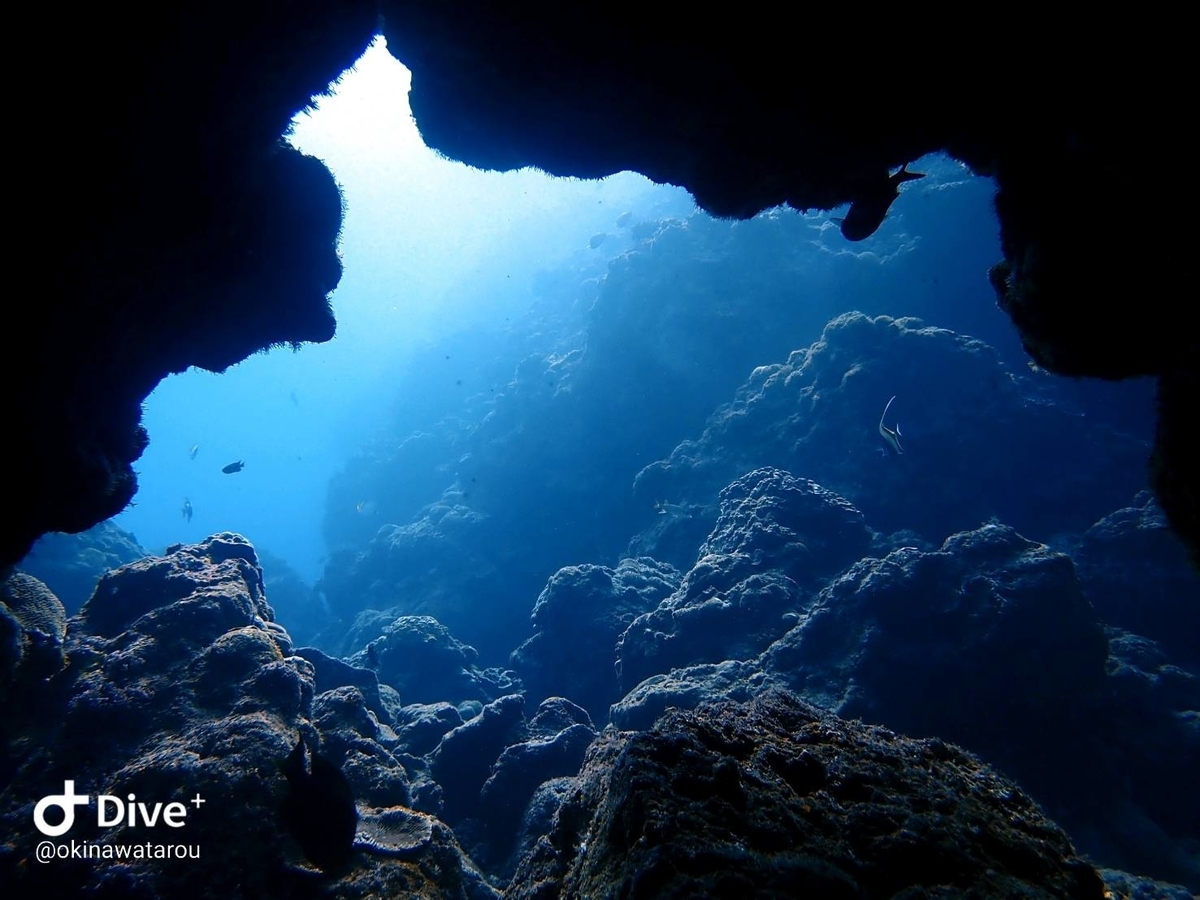 f:id:umiuminikki:20200207181522j:plain