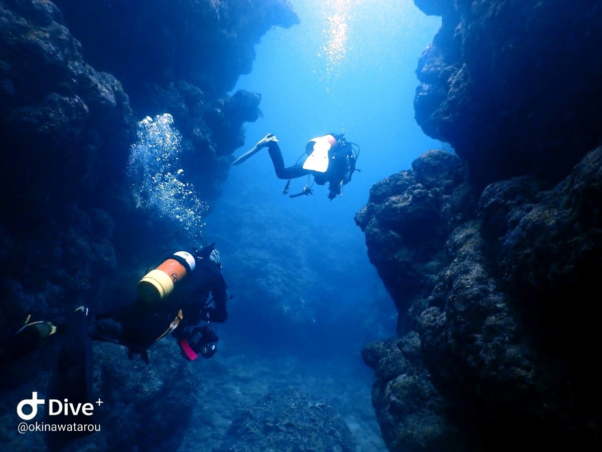 f:id:umiuminikki:20200217235425j:plain