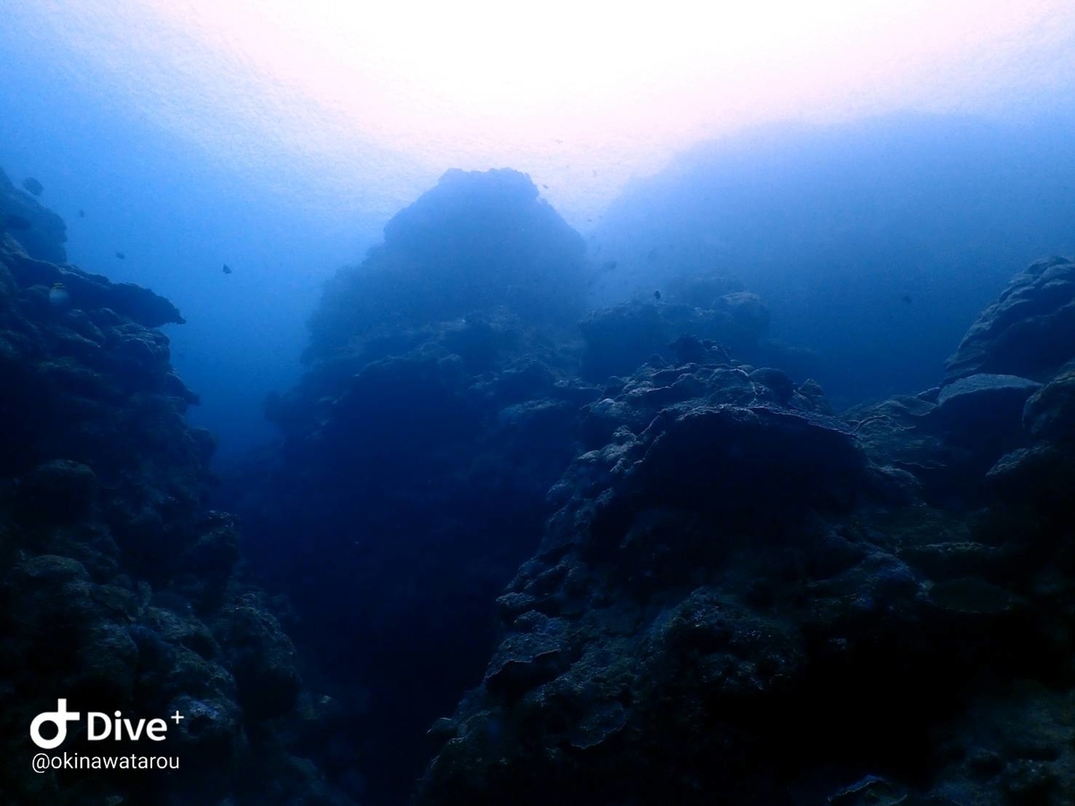 f:id:umiuminikki:20200217235449j:plain