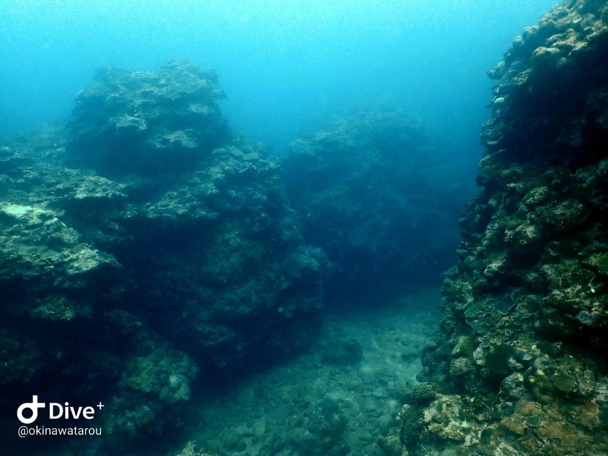 f:id:umiuminikki:20200217235747j:plain