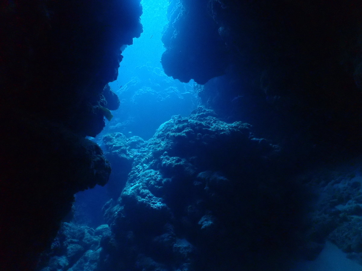 f:id:umiuminikki:20200218000231j:plain