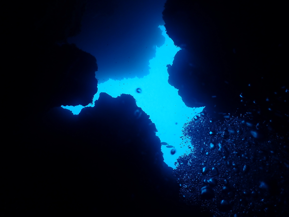 f:id:umiuminikki:20200218000249j:plain